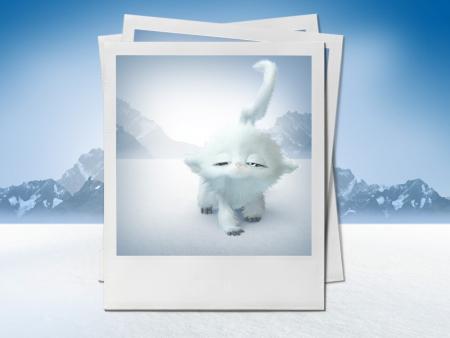 Photos Souvenirs de choups-x3